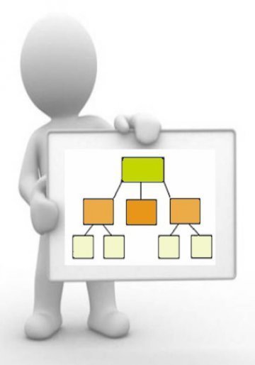 Organigramme