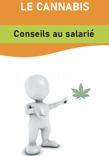 Cannabis